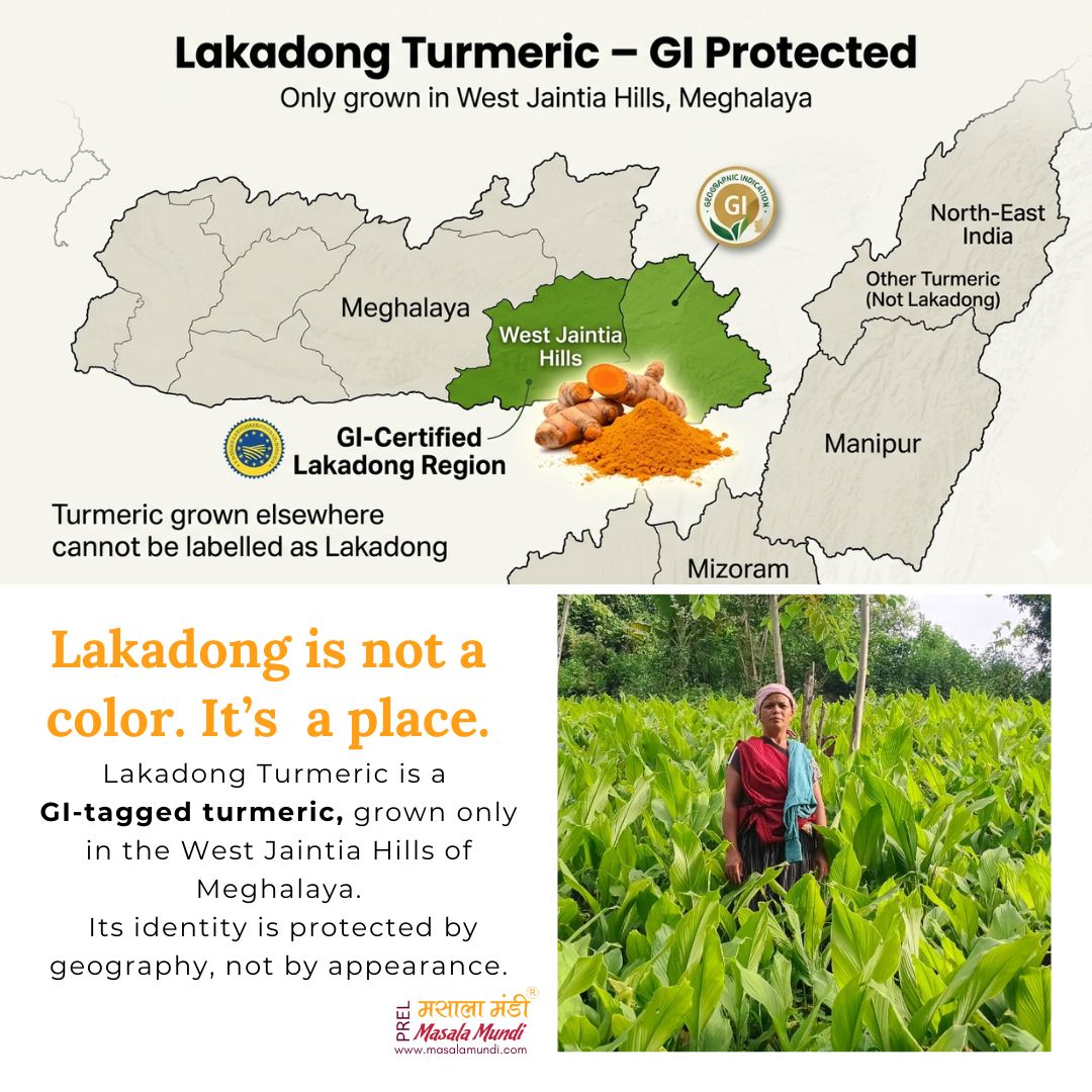 Lakadong Turmeric Powder 100gm (Pack of 5)
