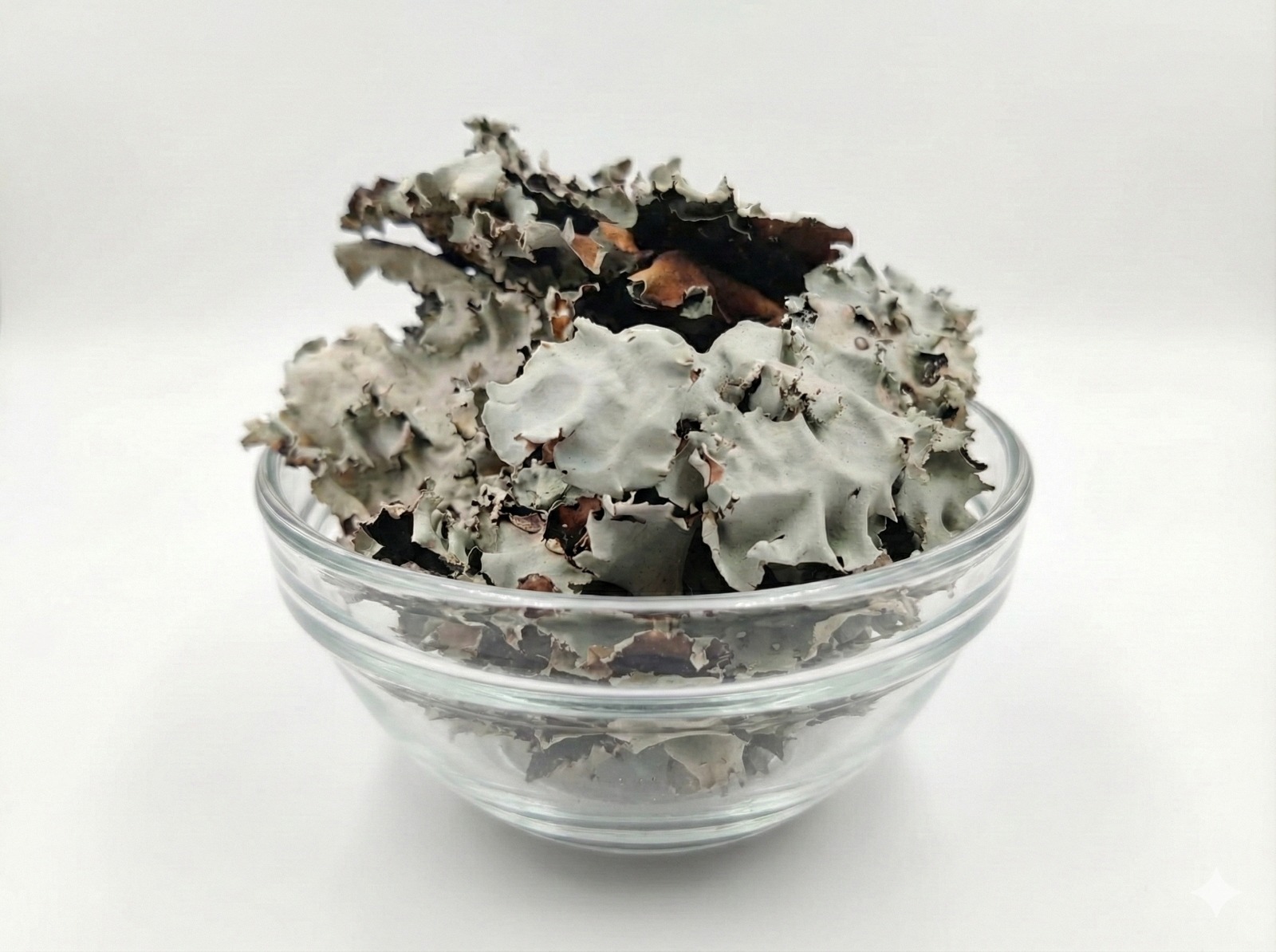 Black Stone Flower|15 g| pack of 5