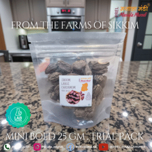 Masala Mundi Sikkim Black Cardamom Mini Bold 25g (Pack of 1) | Natural Smoky Flavor | Amomum subulatum | Badi Elaichi | Elcha | Junglee | Kaale | Boro Elach | Indian Spice & Tea Use