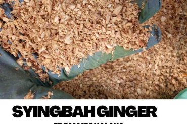 SYINGBAH GINGER VARIANTS (1)