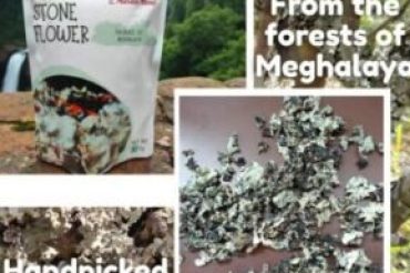 WhatsApp Image 2026-01-27 at 5.20.27 PM